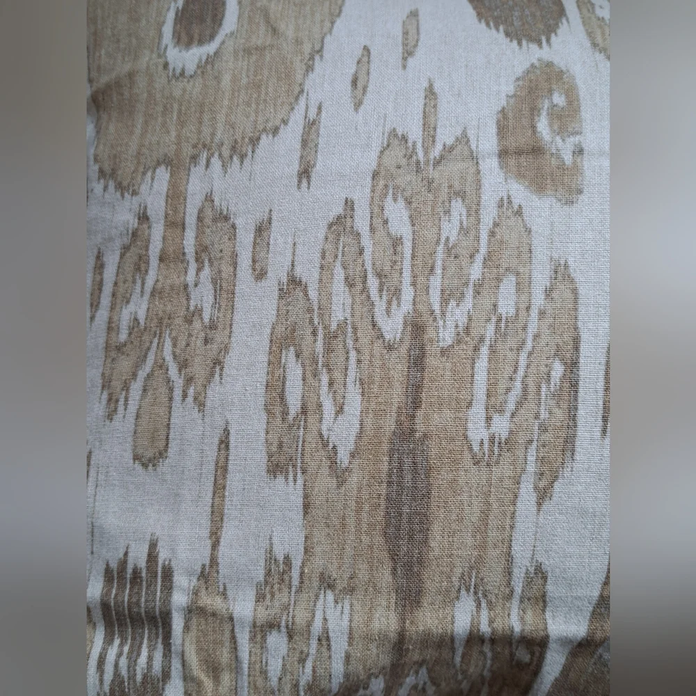 Pottery Barn Vivian Ikat Pillow Shams (2) Standard